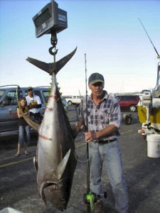 Ken Turner with his 74.6 kg Yellowfin and winning fish for the 2010 Jones Waste Management Easter tournament Ken Turner with his 74.6 kg Yellowfin and winning fish for the 2010 Jones Waste Management Easter tournament