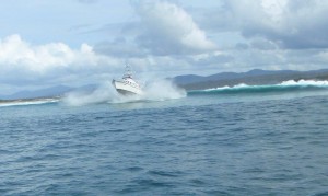 RV Freycinet in Full Flight RV Freycinet in Full Flight